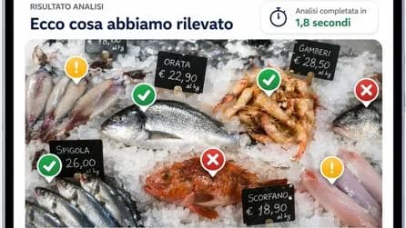 Selya - Analizza la freschezza tu scegli. CTO e CFO. 