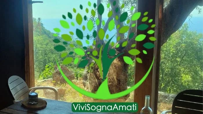 🌿 Cerchiamo partner/investitore per nuovo progetto di glamping e turismo esperienziale in Calabria