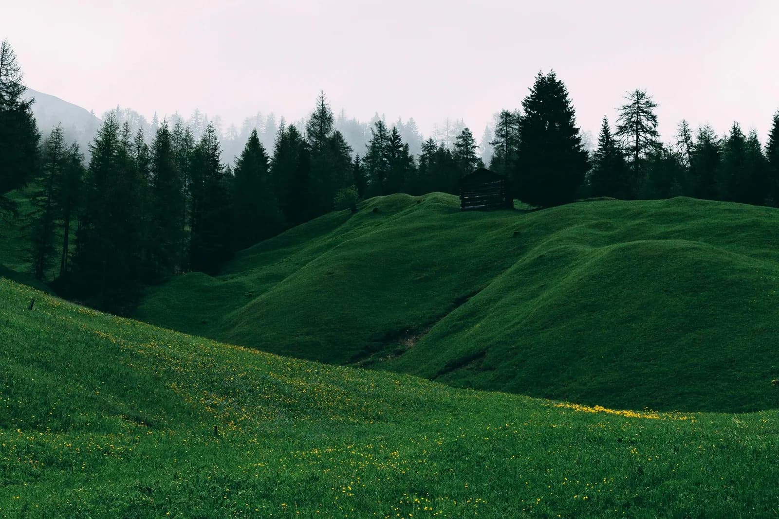 Co-founder cercasi: Trasforma un terreno panoramico in un Glamping Agriresort di Lusso