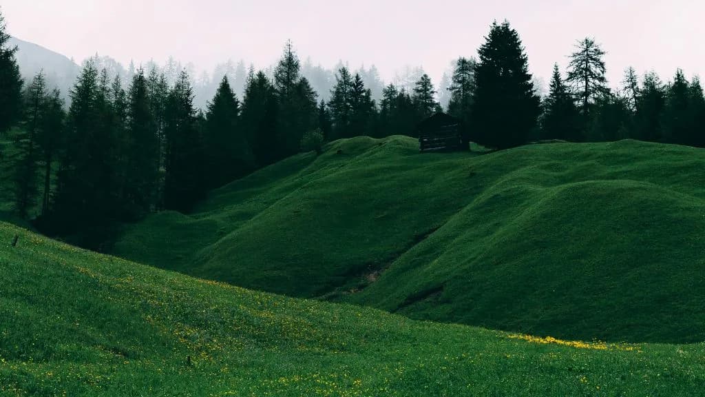 Co-founder cercasi: Trasforma un terreno panoramico in un Glamping Agriresort di Lusso