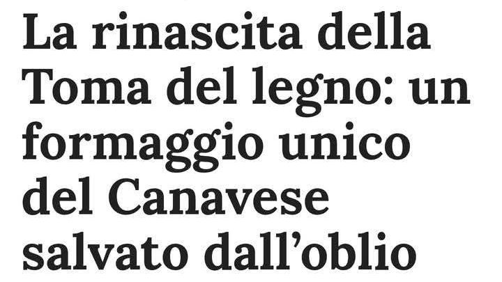 Cerco Soci Finanziatori 
